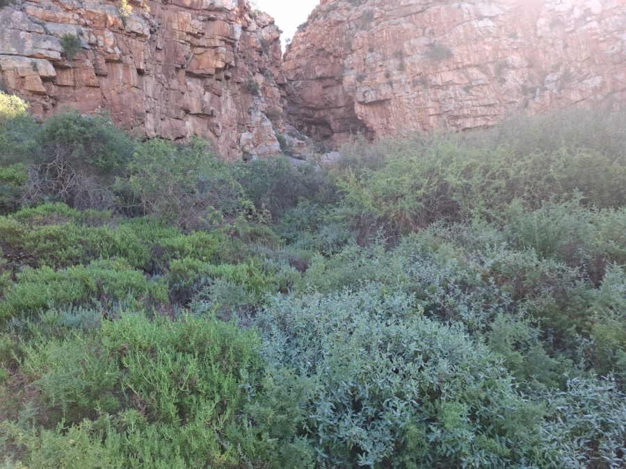  Bedroom Property for Sale in Ladismith Rural Western Cape